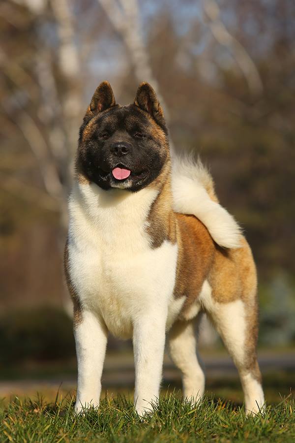 1014483_10208479140882101_7552604746388652491_n (1)