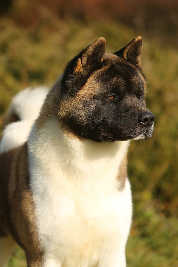 10169389_10208479139922077_5237116015098022205_n (1)