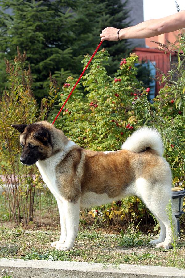 10269562_10205026002875809_4748261529031125273_n (1)