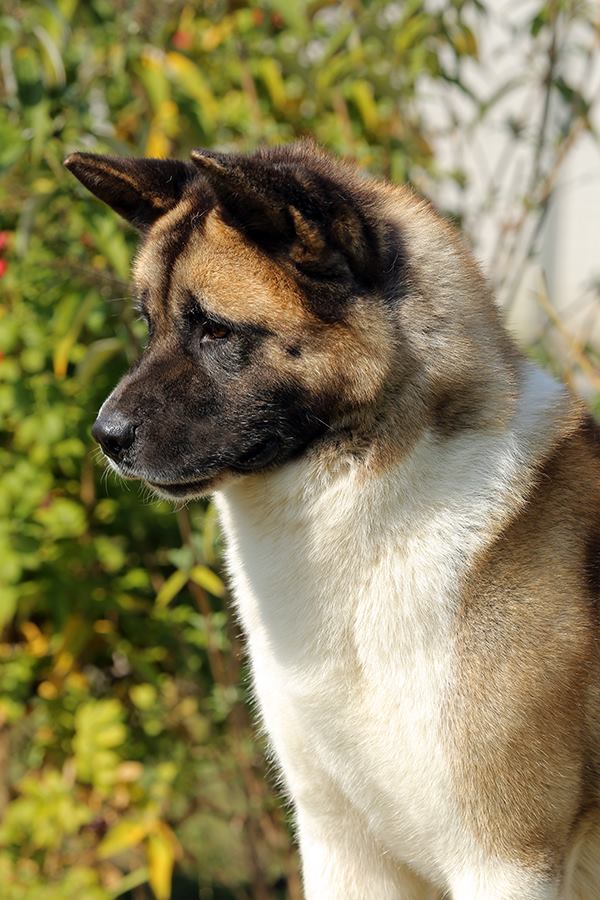 10382734_10205026004035838_5258704084387461166_n (1)