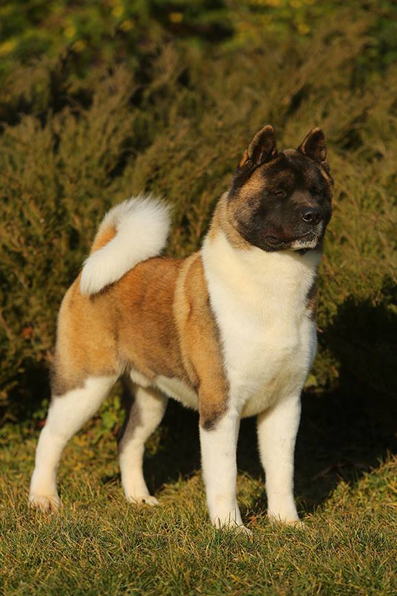 10410127_10208479139762073_8834709398970579366_n (1)