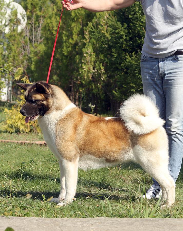 10701964_10205026003035813_5679299691221635501_n (1)