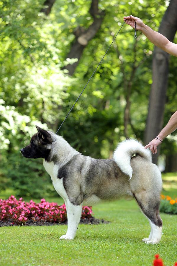 11390079_10207028557058412_7077111865068732886_n (1)