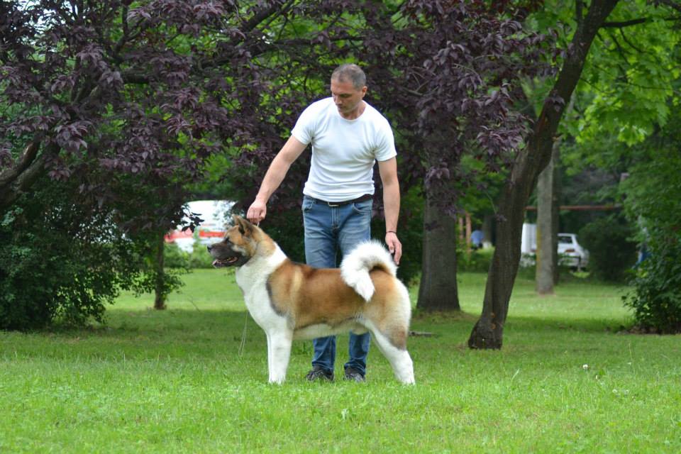 11817213_10207535248005369_3203830763754090149_n (1)