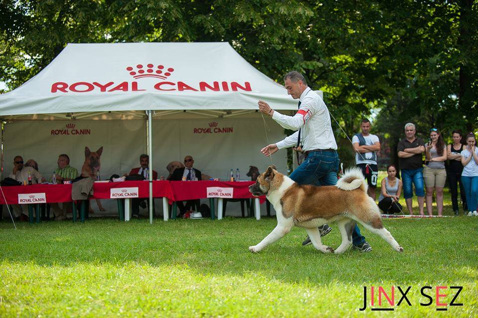 11836860_10207535249045395_2881655765267642028_n (1)