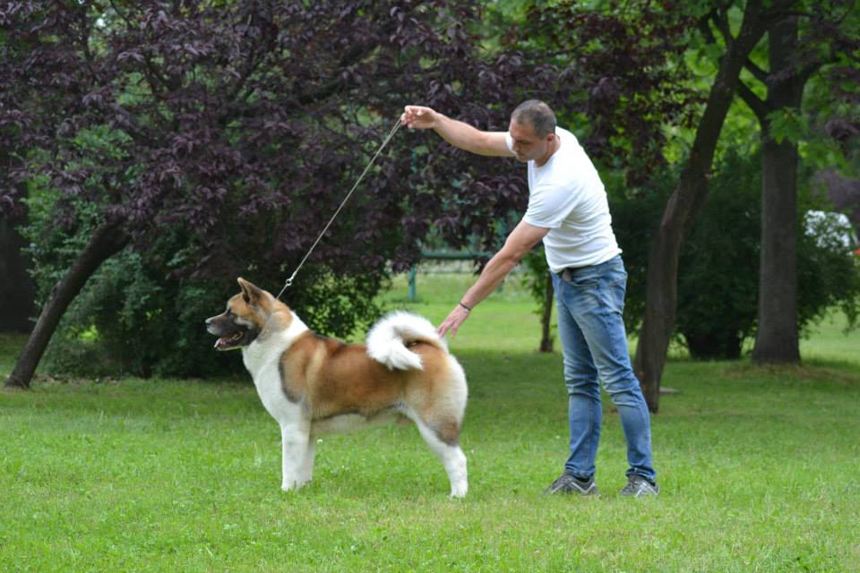 11866355_10207535249165398_7107778812298824720_n (1)