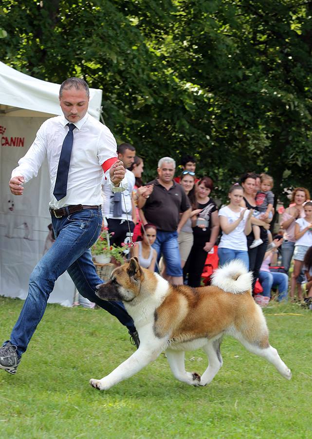 11880360_10207535248965393_7426657463592544035_n (1)