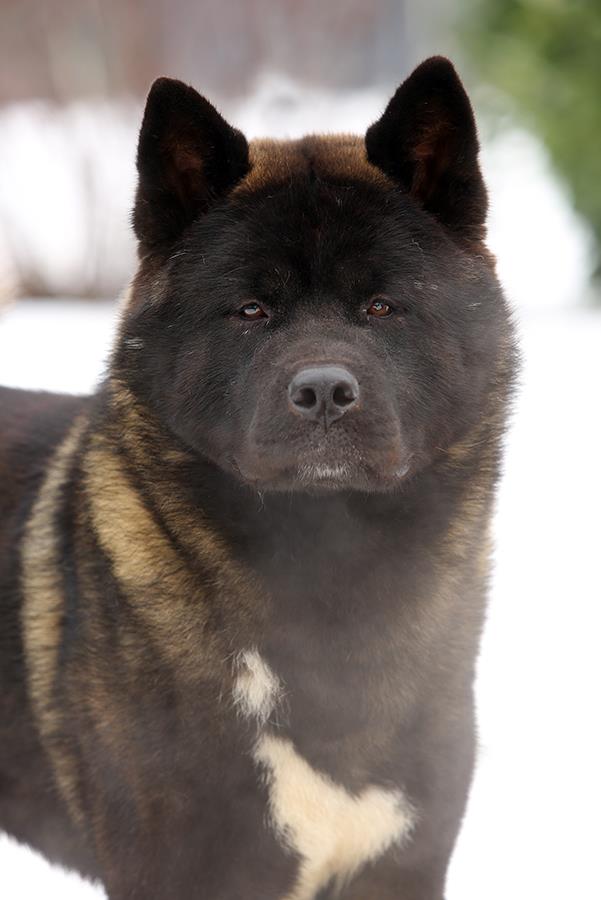 12410586_10208561955552416_8591631048221919544_n (1)