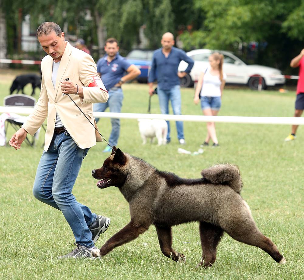 12418831_10208561953272359_2400761488039153030_o (1)