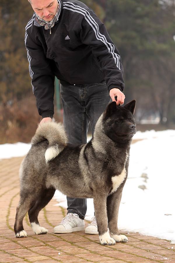 12509045_10208567721256555_7450545338912695240_n (1)