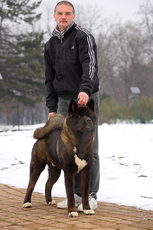 12524001_10208561957872474_4599101626812866816_n (1)