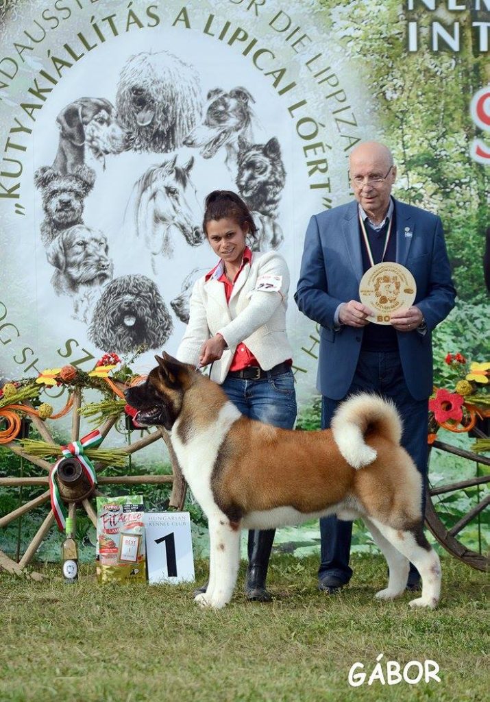 14310271_10210644639578215_2440902711994869832_o (1)