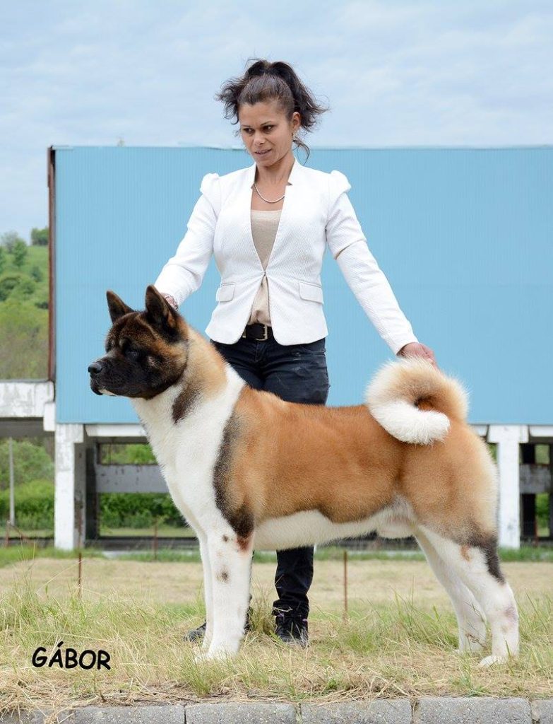 14352063_10210644638618191_5169629658995436039_o (1)