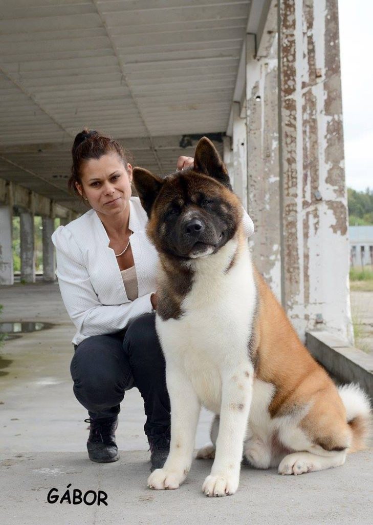 14352314_10210644643338309_4646314404271470940_o (1)