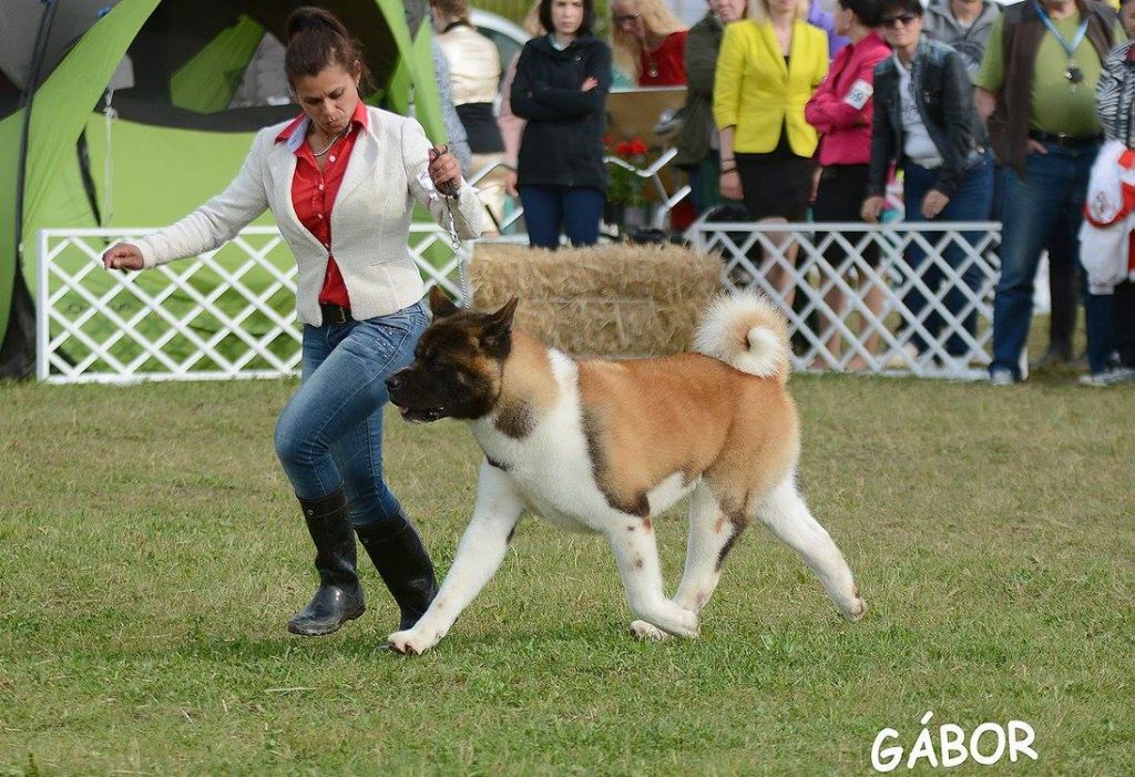 14362606_10210644645858372_8761020363042230372_o (1)