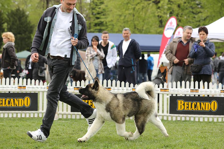 1506562_10203716646022706_6004082670317156332_n (1)