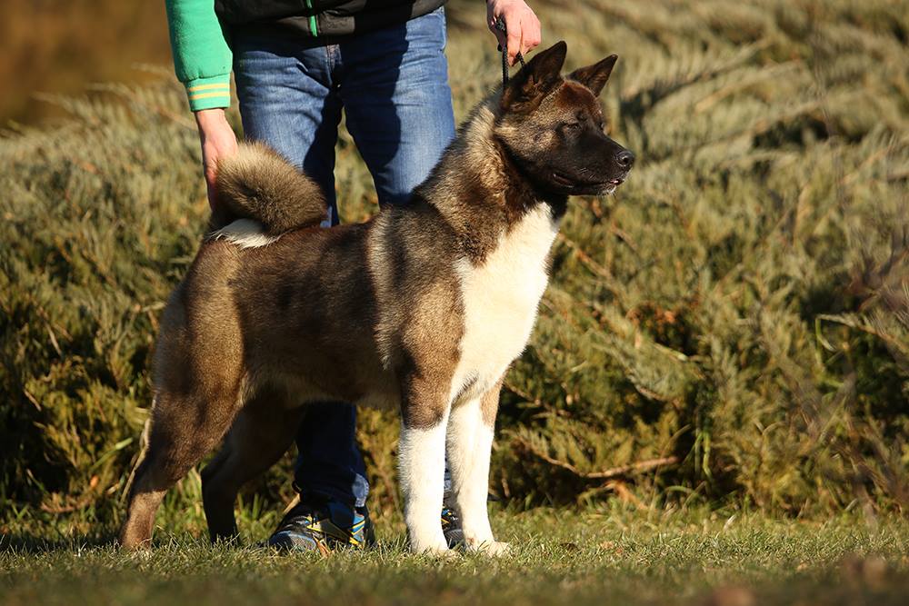 15844097_10211780272968340_2046064680929080467_o (1)