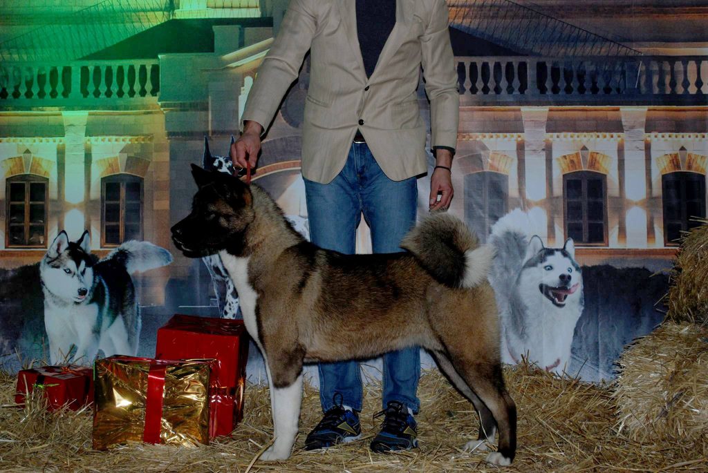 15844769_10211780292168820_8421329015628104672_o (1)