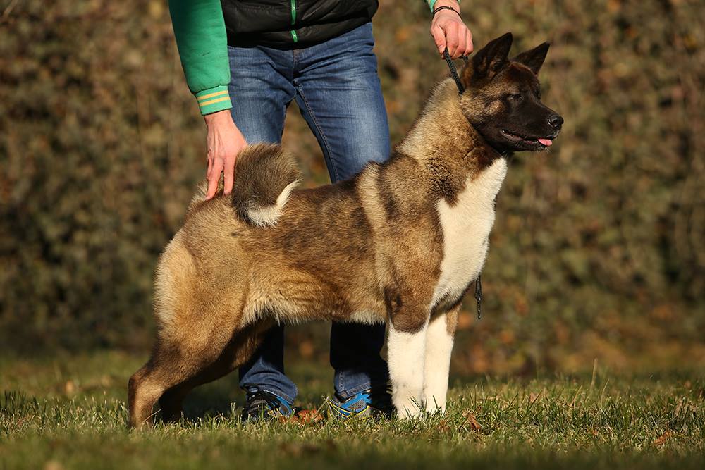 15875109_10211780279968515_2199656627924416389_o (1)