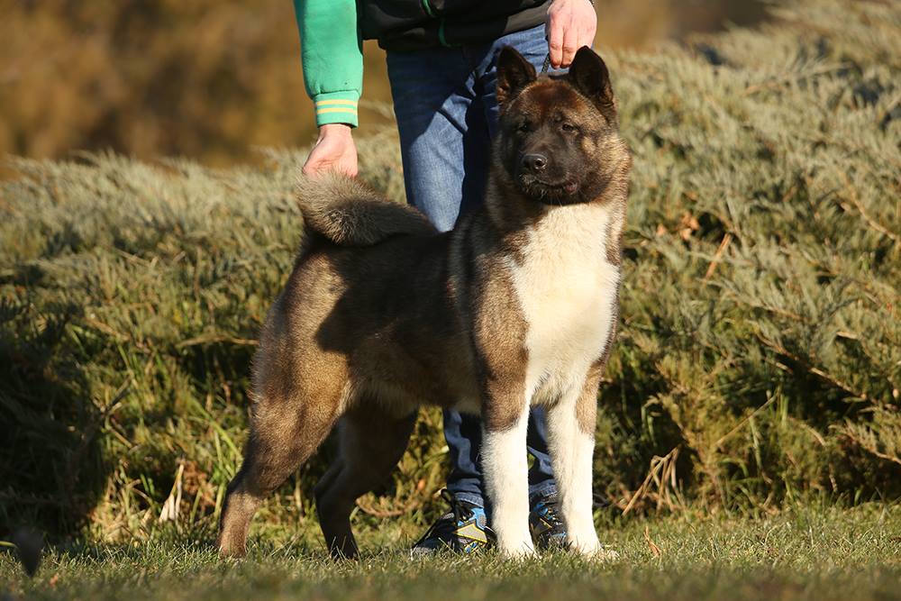 15895844_10211780274368375_6868444488012067989_o (1)