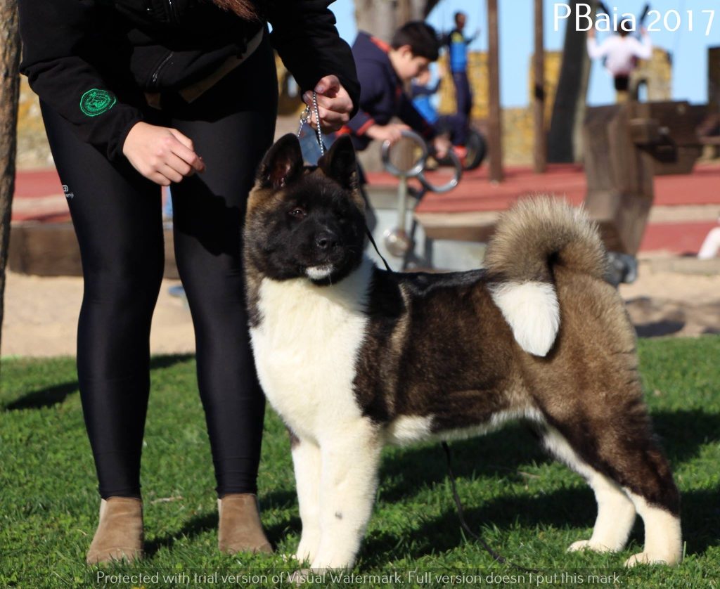 17218539_10207923749201213_1353410148420315525_o (1)