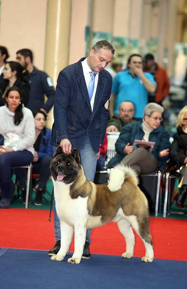 17239902_10212485741804620_3493209307366818986_o (1)