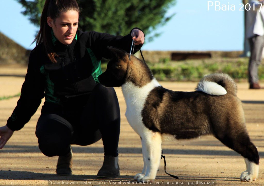 17310130_10207923750681250_7140340188100846984_o (1)