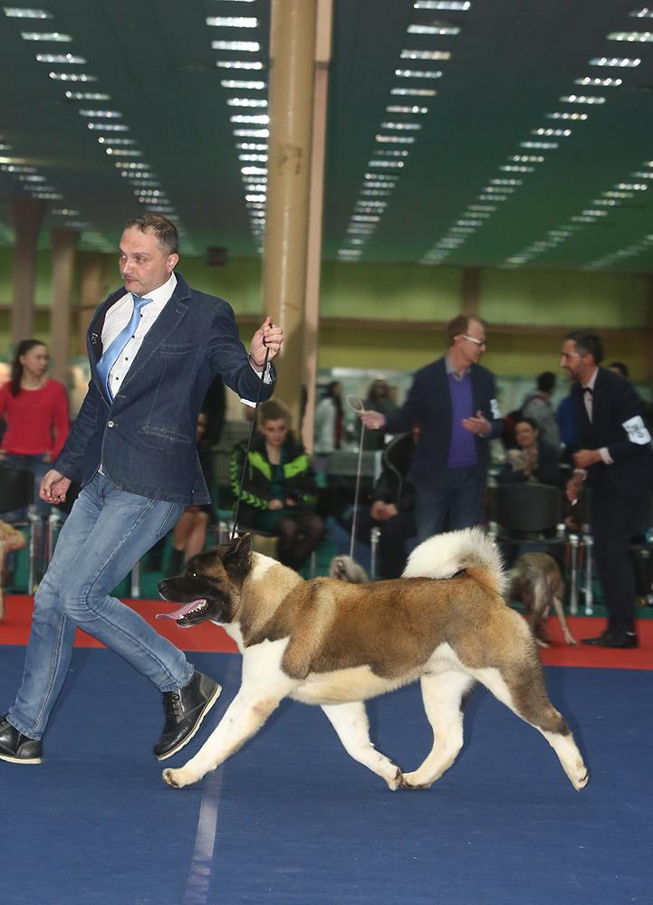 17359073_10212485744164679_3536758790809037298_o (1)