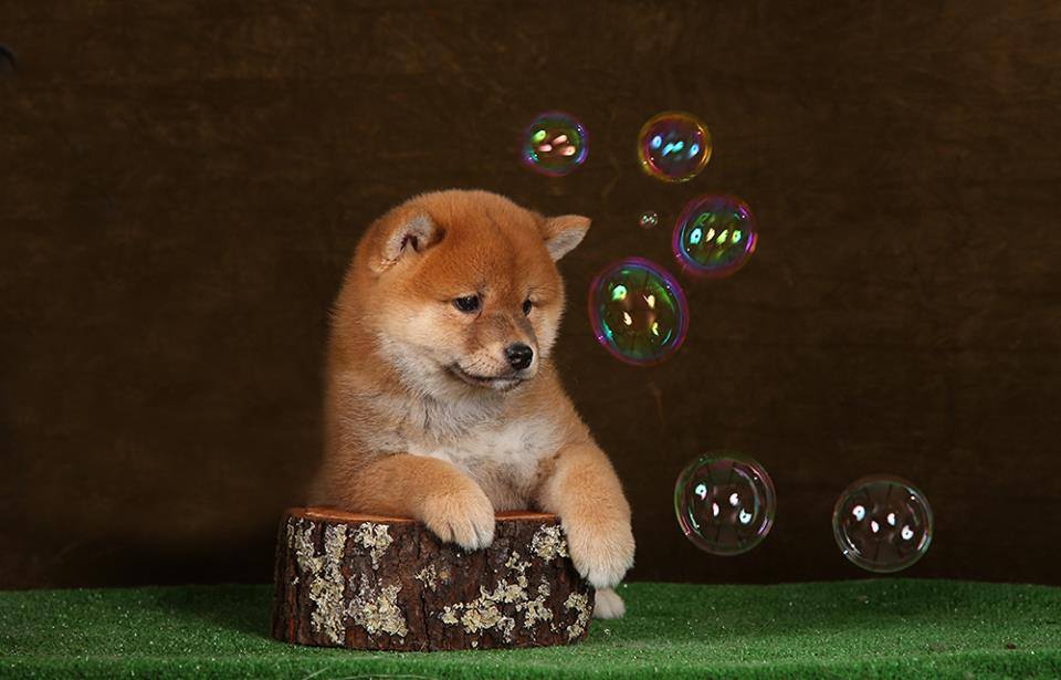 17424604_10210331989353930_2893176480606975704_n (1)