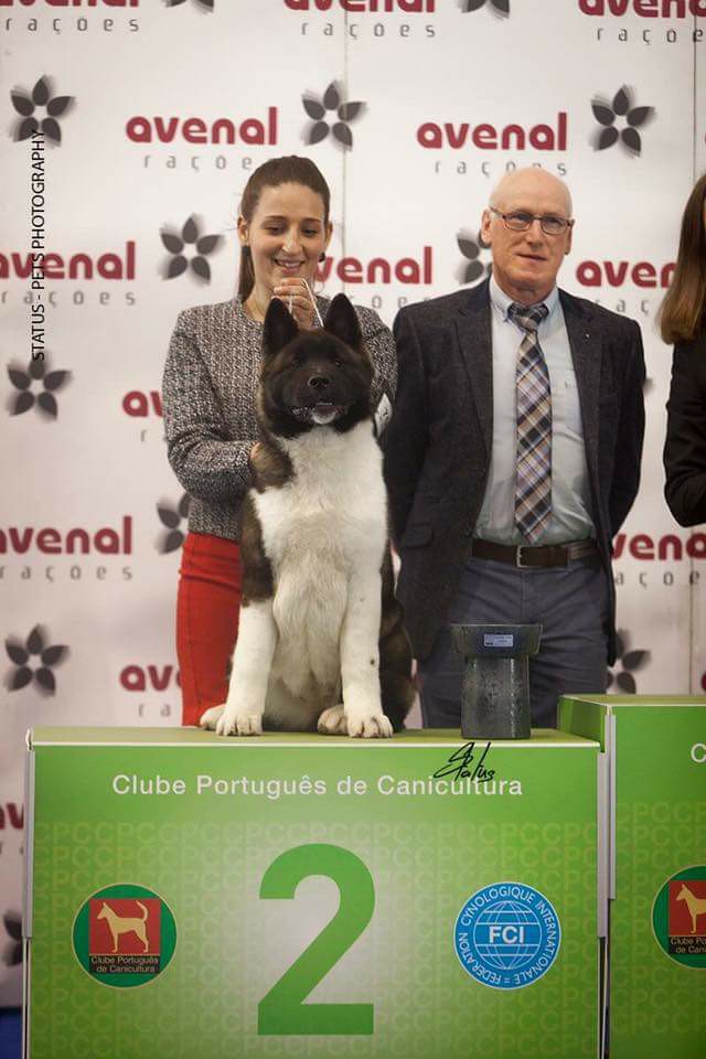 17626254_984525081677457_4477648346706748788_n (1)