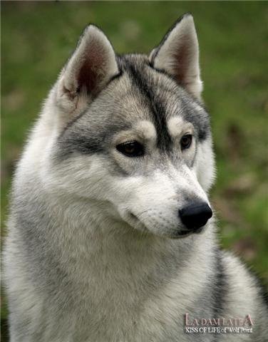 1918025_1272141449692_4997260_n (1)