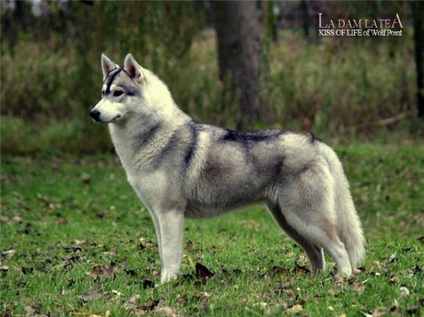 1918025_1272142369715_4150024_n (1)