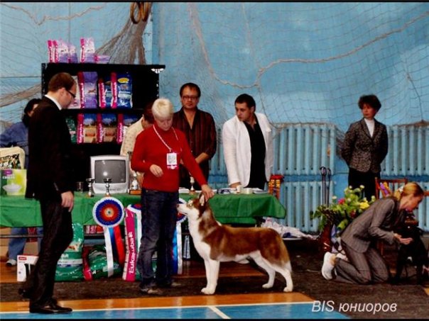 1918025_1272142809726_2559162_n (1)