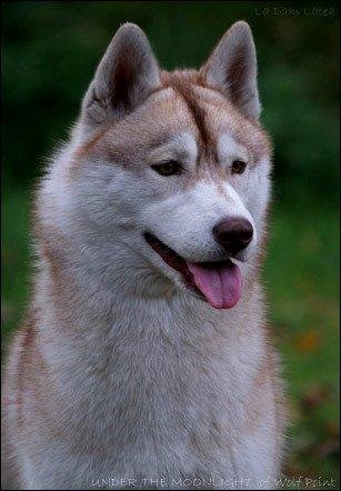 1918025_1272143329739_6469109_n (1)