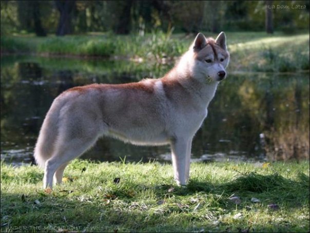 1918025_1272143729749_654199_n (1)