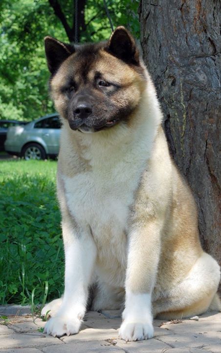 220498_2057873612505_4329469_o (1)