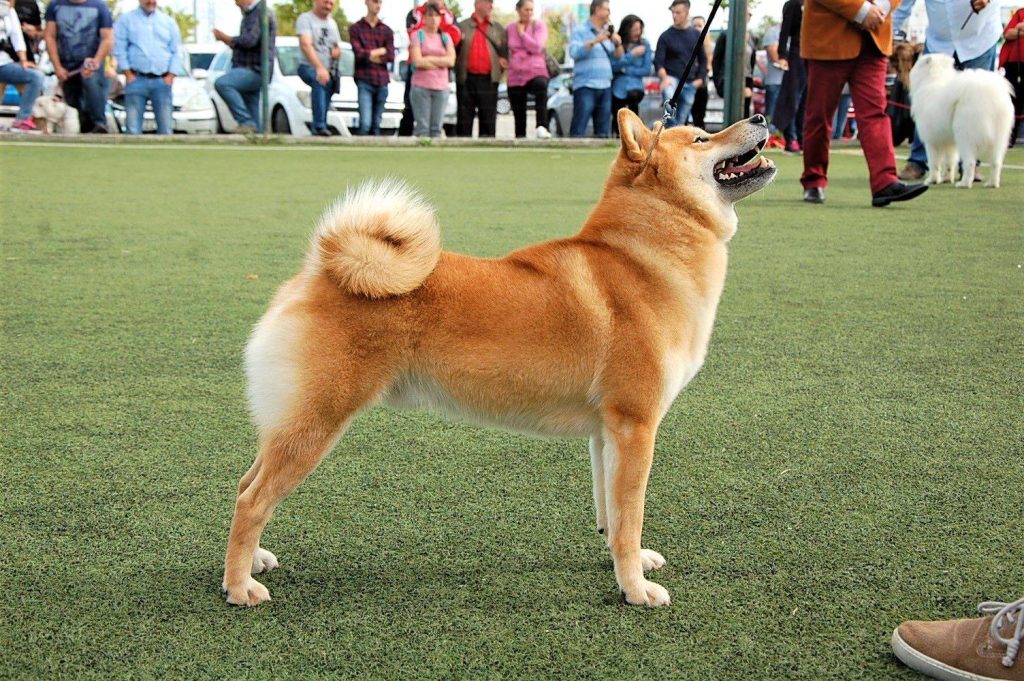 23154794_10214766175054026_8922707949771342322_o (1)