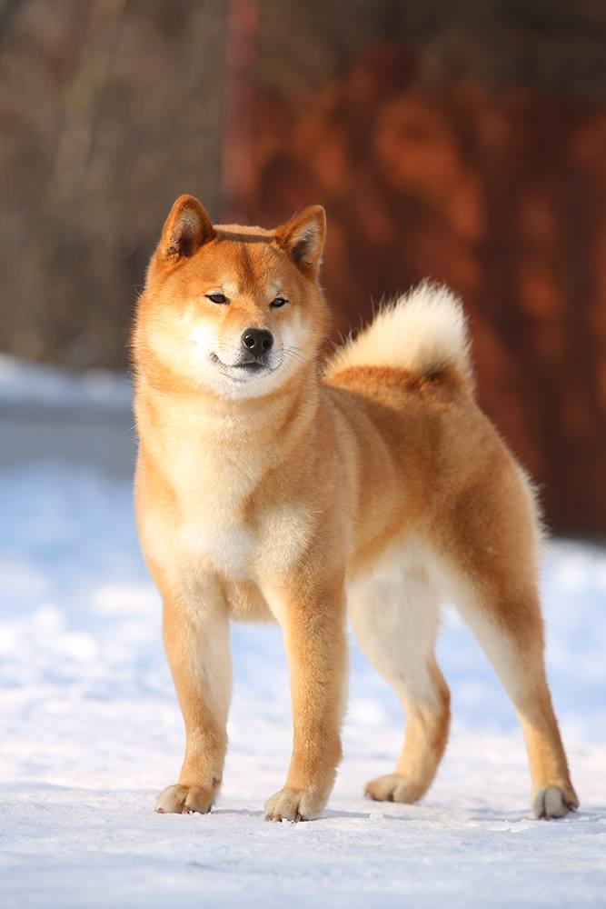 23157138_10214766177494087_7093694327748486612_o (1)