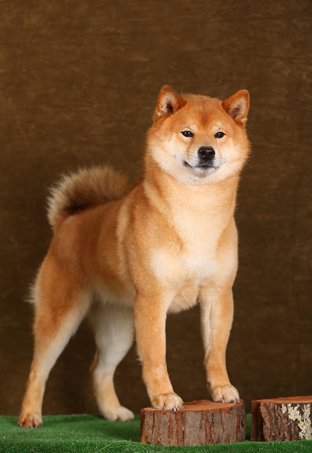 23167575_10214766177534088_5056019009474263591_n (1)