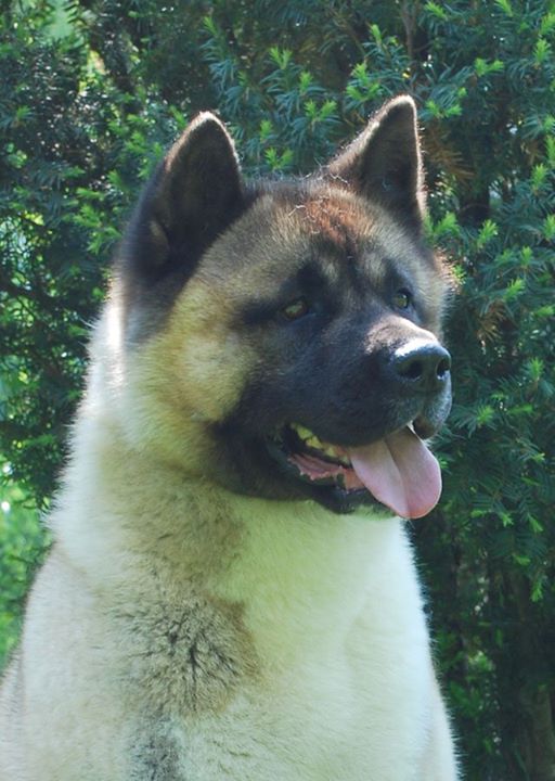 240686_2057873892512_1386510_o (1)