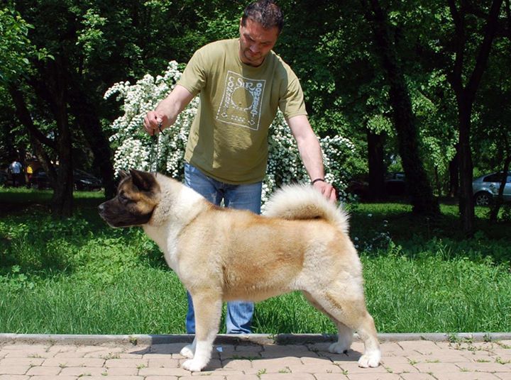 240986_2057874172519_3181588_o (1)