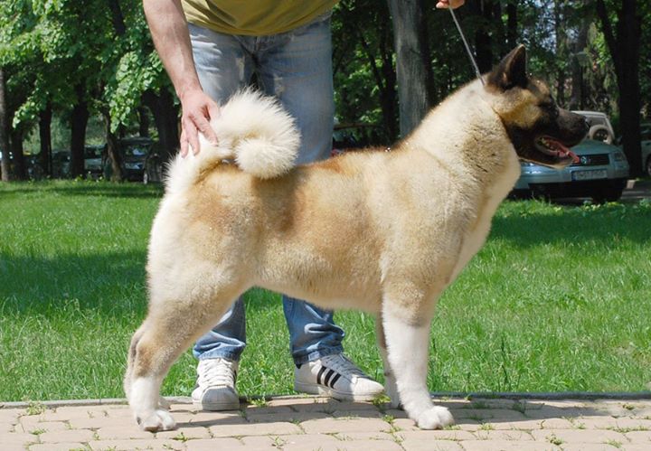 243582_2057873692507_451471_o (1)