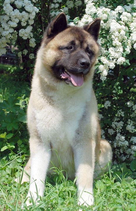 244154_2057873492502_2095923_o (1)