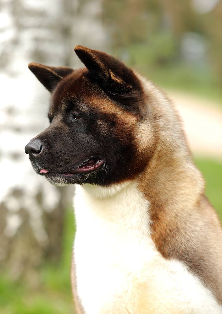 30415196_10216192279065735_7460495086644625408_o (1)