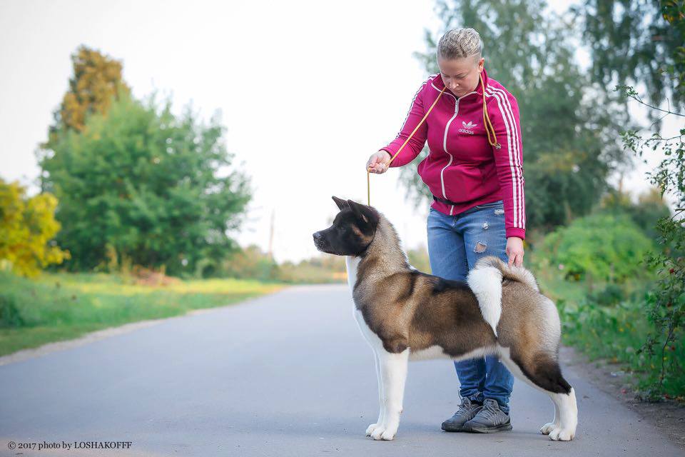 30415616_10216192276985683_7285077296447225856_n (1)