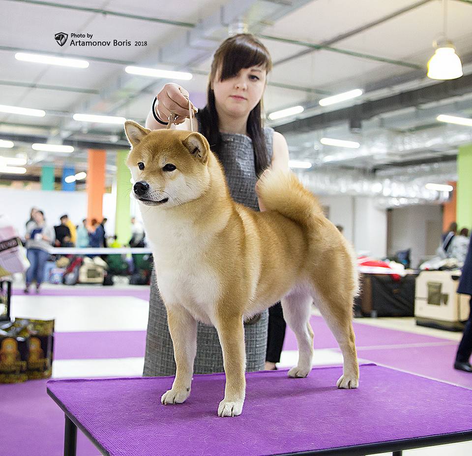 31064346_10213608091054425_8426711202800298758_n (1)