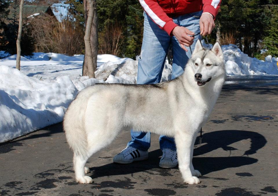 403370_3422714932685_1099121226_n (1)