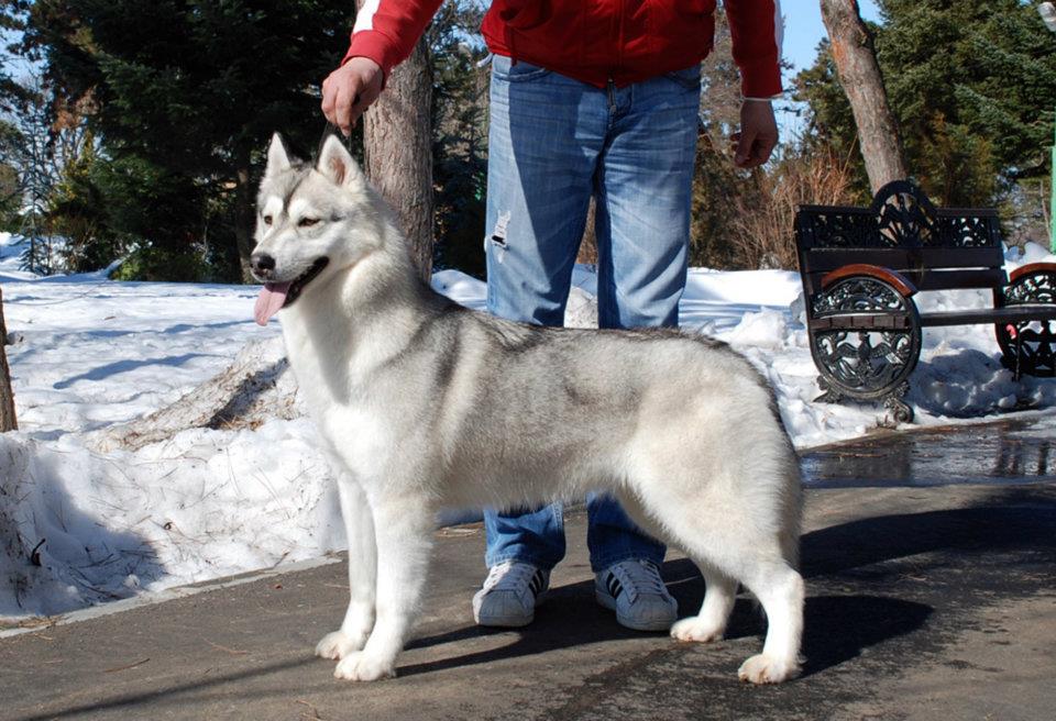 418516_3422715372696_698172881_n (1)