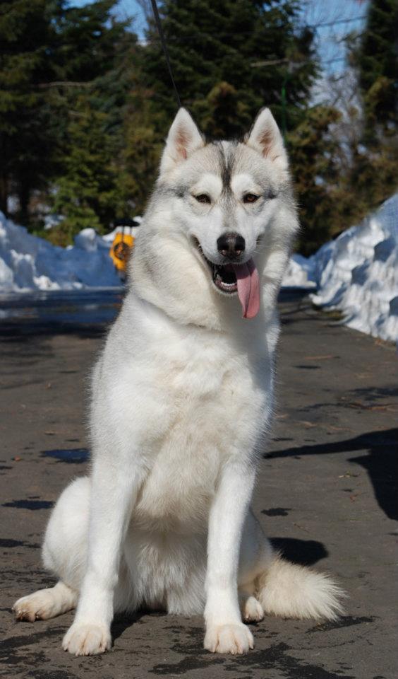 423840_3422714612677_1186796601_n (1)