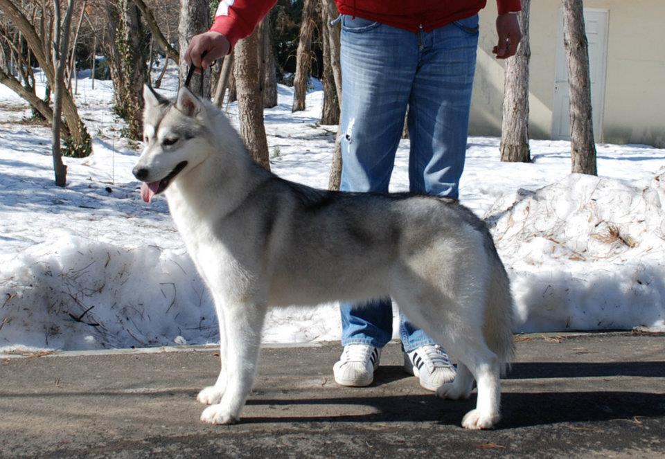 423909_3422715532700_123185680_n (1)